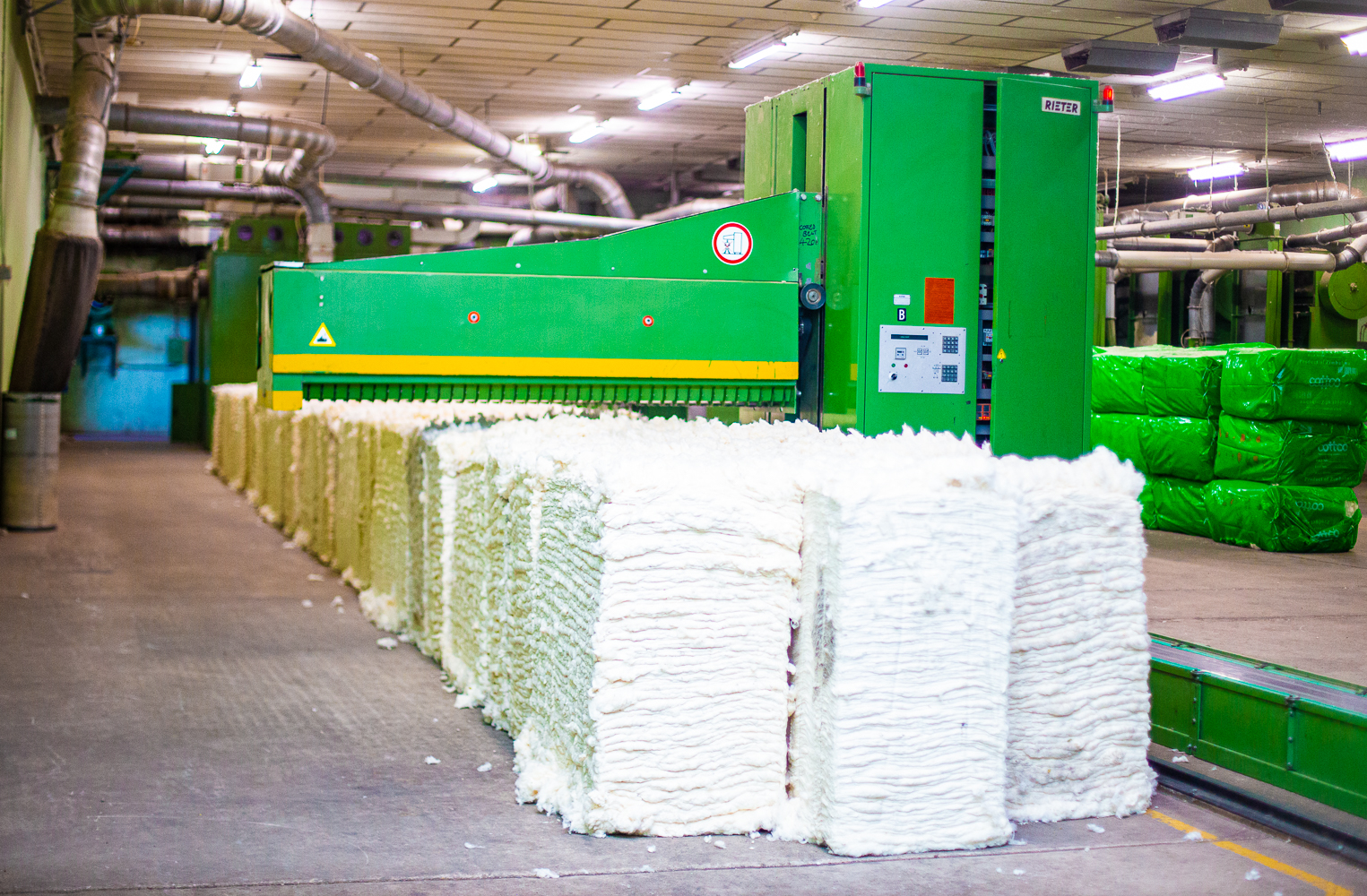 The Journey of Cotton